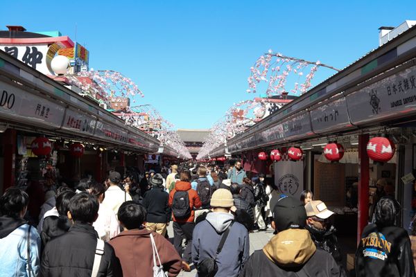 Crowd of people, on a pedestrian road, surrounded by shops, and sakura flowers hanging from above, temple roof in the background, thumbnail