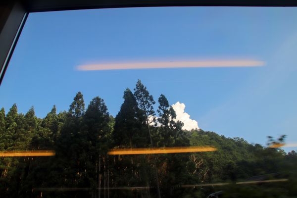 forest view with a blue sky and white clouds, thumbnail