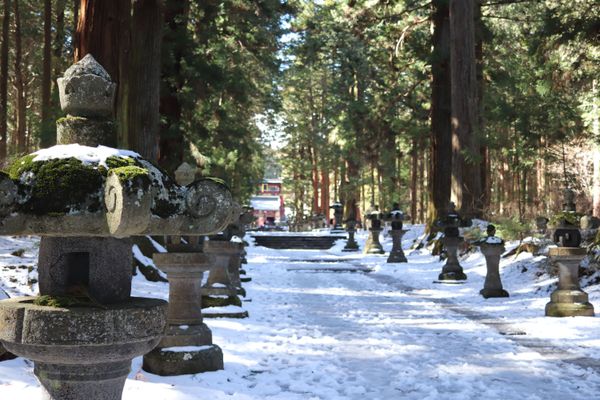 snow on the ground, pine trees surround a path, lined with stone sculptures, thumbnail