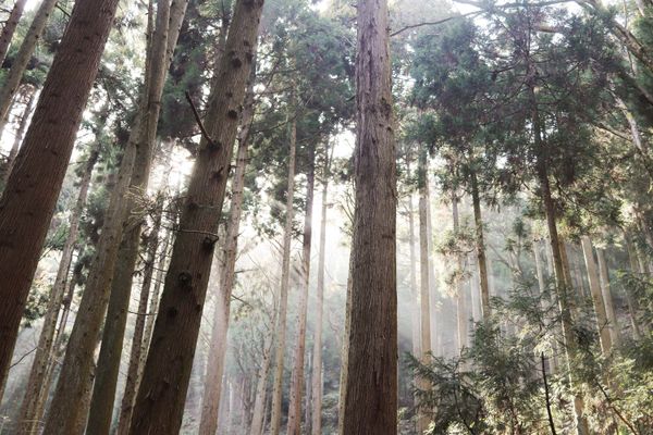 Thumbnail image for A Drive Down the Coast album